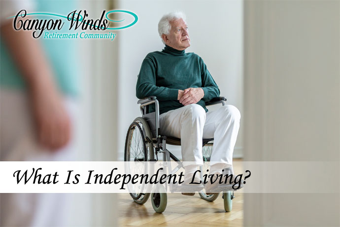 What is Independent Living?